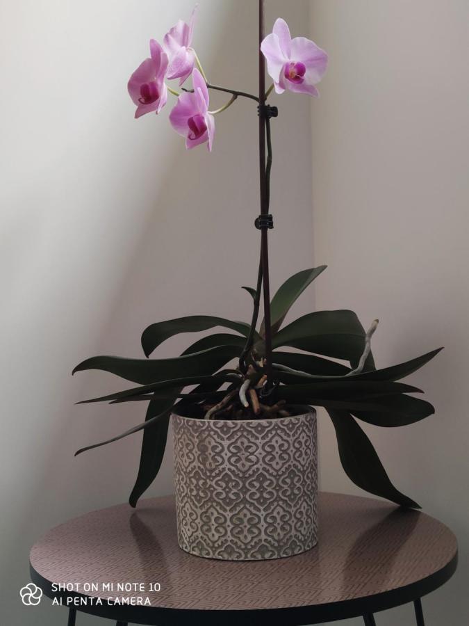Chambre D'Hotes Du Muguet Avec Sdb Privative Le Mans Kültér fotó